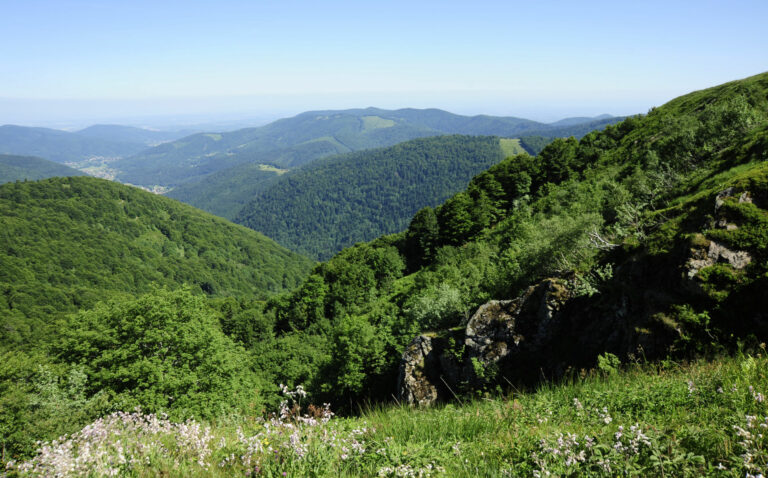 Le Ballon d’Alsace : un espace naturel remarquable