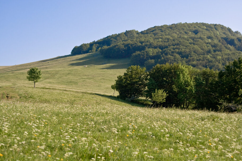 La chaume au pied du sommet