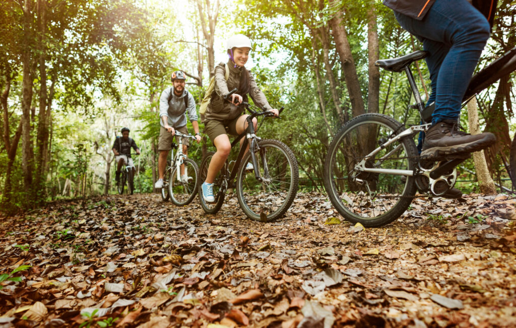 VTT au Ballon d’Alsace